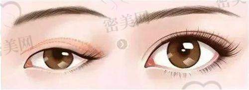 不同项目的价格对比：看看你的钱包适合哪家？