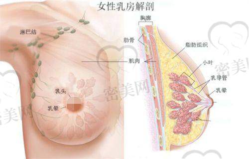 深圳阳光整形美容医院：老品牌新技术，主打全龄抗衰
