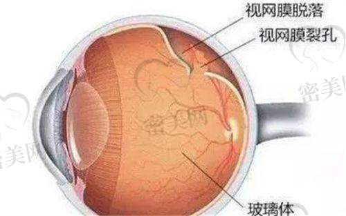 兰州市第一人民医院眼科骨干医生团队 & 主诊项目强项