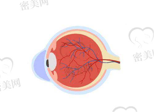 整形美容科也特别火，医生团队+真实实例双在线