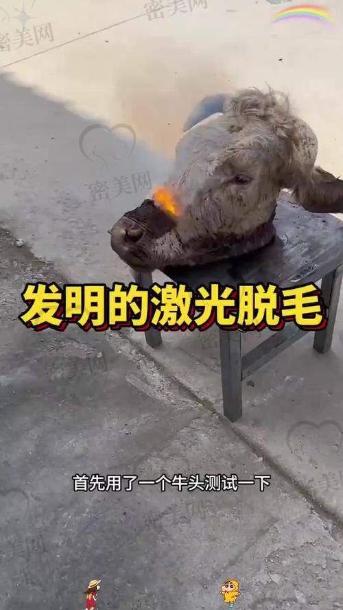 大连朗域整形医疗门诊部：经验老道，方案多样