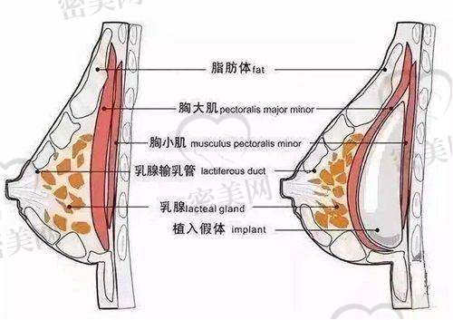 深圳艺星医疗美容医院