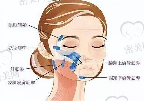 7. 北京紫馨医疗美容