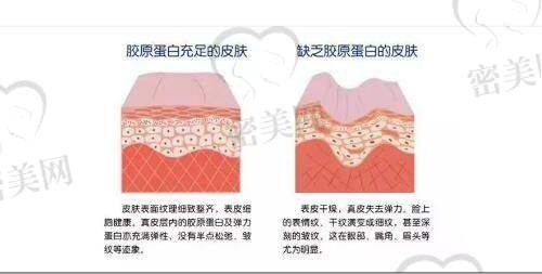 艺星品牌赋能，20年沉淀成就东北整形新标杆