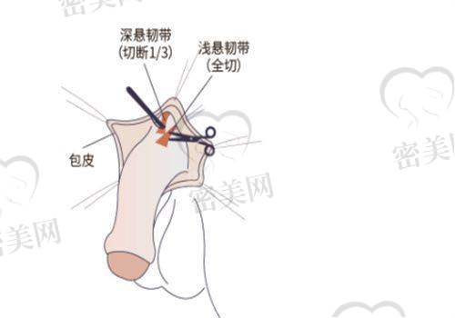 惠州晶悦美医疗美容门诊部