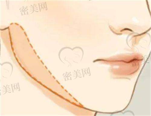 如何快速挂号/询问：附清禾原素预约通道