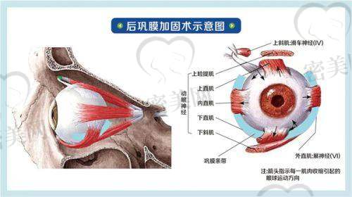 连云港市第一人民医院眼科医生名单：