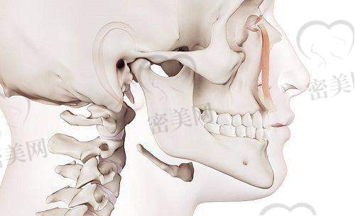 做整形的人群画像：适合哪些姐妹来这里？