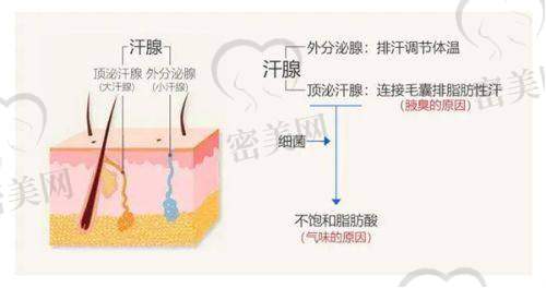 合肥美泽医疗美容医院的口碑怎么样?实地体验者怎么评价?