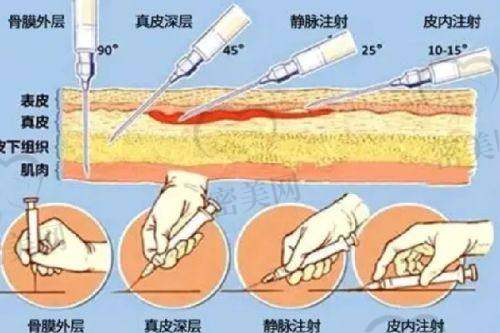 惠州惠阳丽港丽格医疗美容门诊部地址及乘车路线：