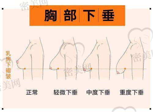 北京中 医 药大学东方医院整形美容科地址及乘车路线：