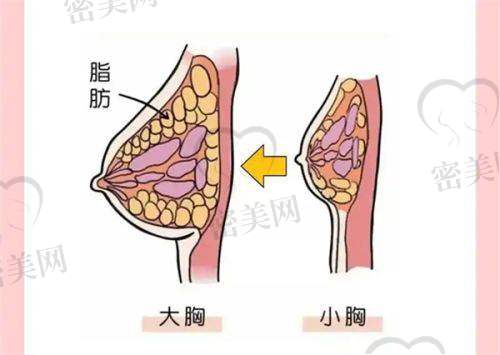 淄博美冠臣医疗美容医院特色项目：