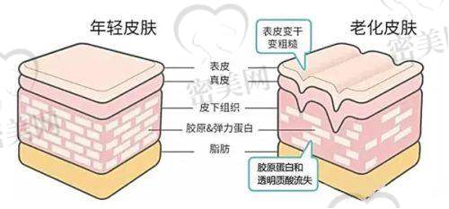 熱門整形項(xiàng)目