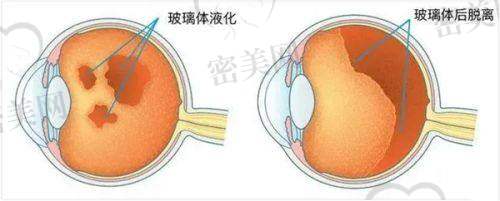 挂号、问诊贴士及价格参考