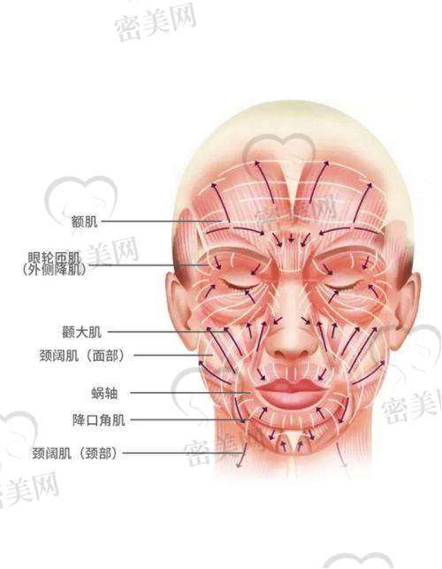 到底啥是小切口提升?术前术中术后全过程了解一下