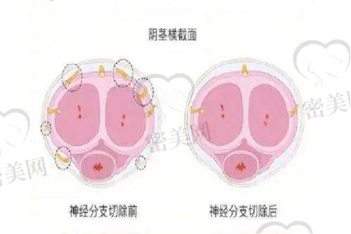 成都高新星泽美医疗美容门诊部医生名单: