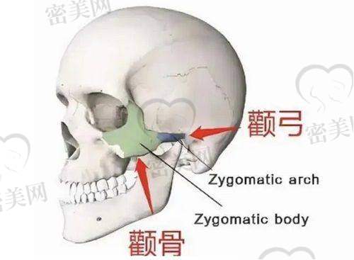 上海第九整形美容医院瘦脸抗衰项目价格表曝光,小气囊女人秒变精致脸