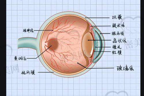 义乌光正眼科医院——医生团队靠谱吗?