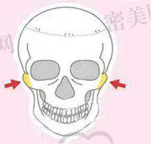 武汉美基元是否值得选择？排名进入前三，优选放心之选