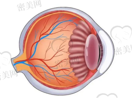 怎么挂号南坪爱尔眼科医院?3种方式轻松锁号