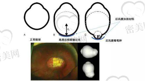 挂号技巧锦囊＆操作建议