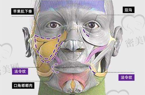 逆袭成功,快乐加倍