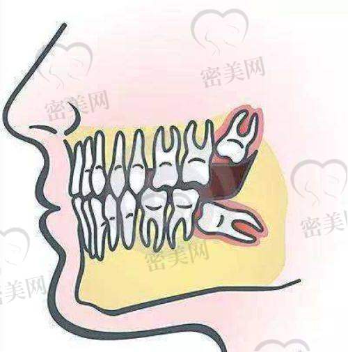 【山西晋中佳博口腔诊所设备与技术:】