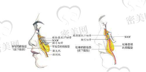 哈尔滨医 大一院交通指南+楼层攻略,一分钟到整形科!