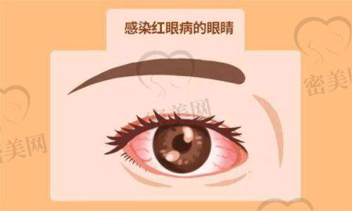患者评价口碑:真实反馈,广受认可