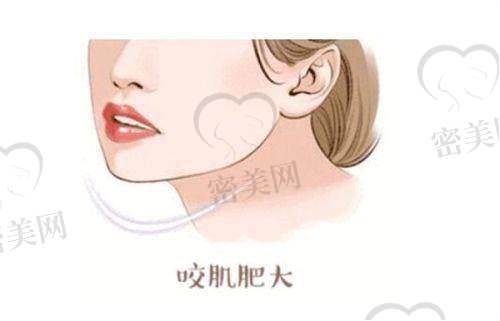 特色项目有哪些?哪些项目比较受欢迎?