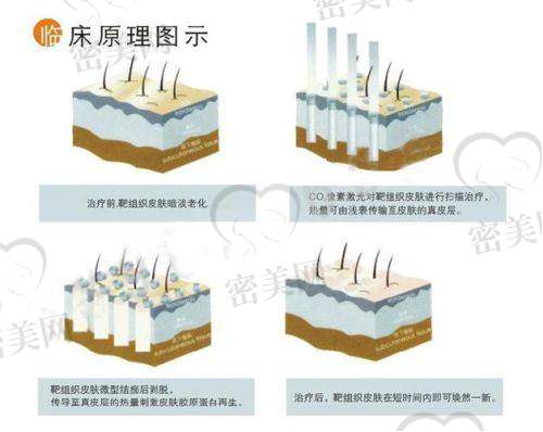 服务体验&整体口碑——环境舒适,流程清晰无埋雷