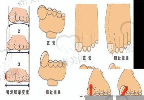 重庆西 南医院美容整形科:询问与预约方式补充说明