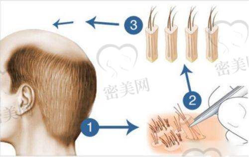 清远韩美医疗美容门诊部医生名单: