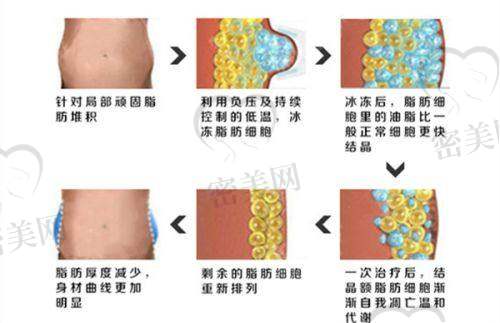 清远韩美医疗团队和硬件设施是否支撑项目高质量实施?