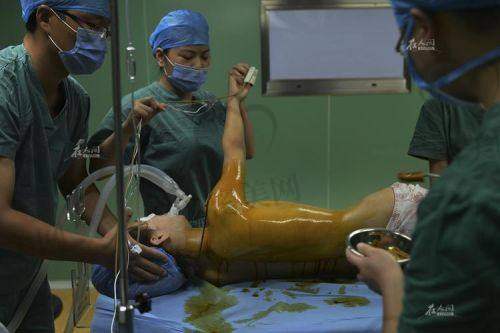 傲诺拉和曼托是什么关系?别再傻傻分不清了!