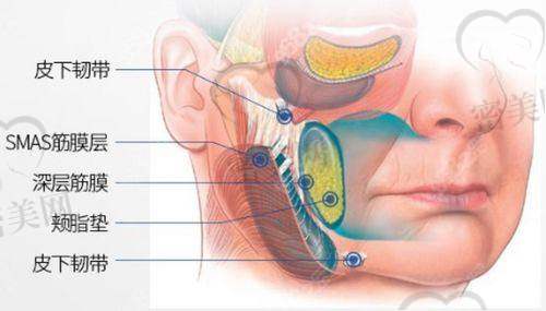 怎么预约王松做面部拉皮?有哪些注意事项?