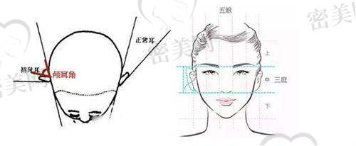 佳木斯丽尚医疗美容会所:私密美容奢养系代表