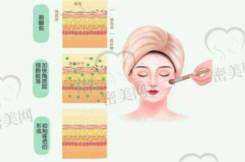 代表性热门项目特色深入解析