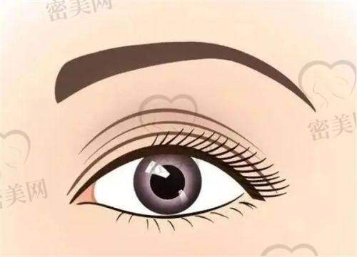 2025年热门项目价格明细:从双眼皮到胸部整形