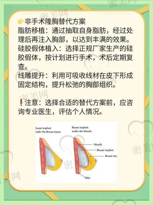 美国傲诺拉假体的系列介绍