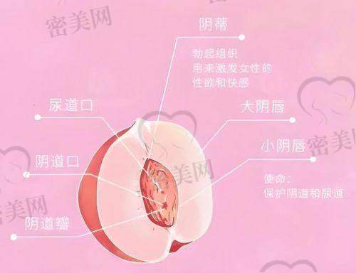 真想打紧缩针？这些“小Tips”别忽略