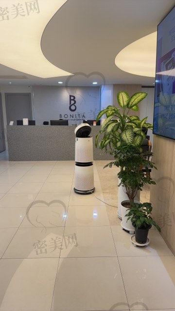 韩国宝尼达环境图