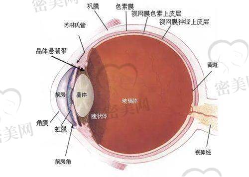 上海希玛瑞视眼科浦东分部：海派服务+硬件标准高，适合追求医疗体验的用户