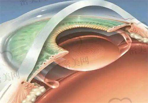 深圳卫尔斯眼科在深圳有几家？其他城市有吗？