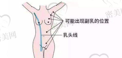 持证上岗：上海旗美的正规资质都有哪些？