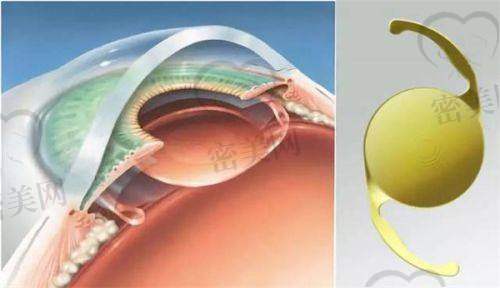 蔡甸门诊部实际地址