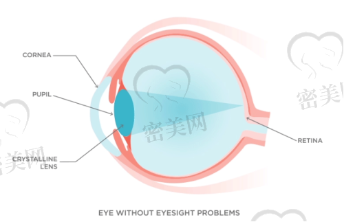 乌鲁木齐普瑞眼科验光+配镜总花费大概多少钱？